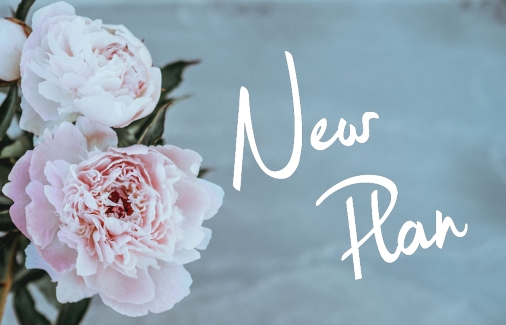 Pink Peonies on a blue background with
the words New Plan