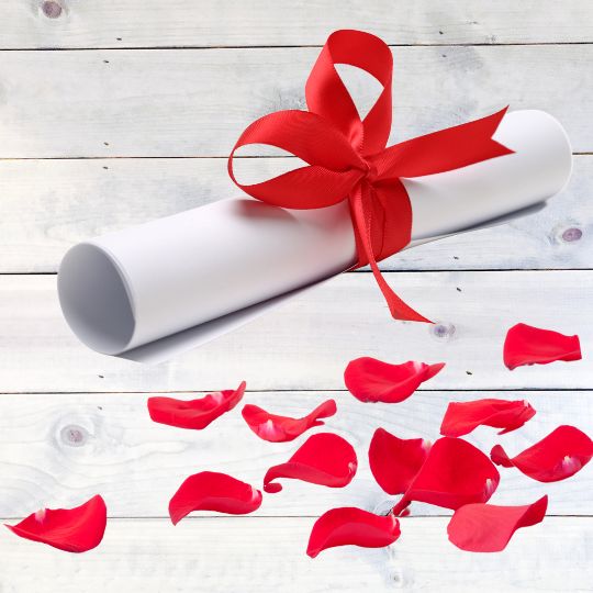A
scroll tied with red ribbon lying next to
scattered red rose petals