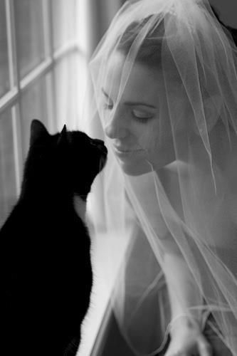 Bride in veil and black and white cat sharing
an intimate moment nose to nose lipstick